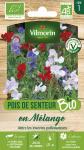 Fleurs - Pois de Senteur Varié - BIO - PACKAGING_RECTO